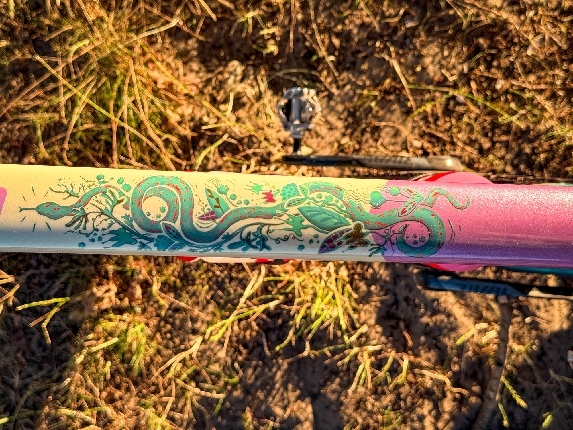 Warta gravel 2025 x Accent Freak V2 x Kasper Tochowicz