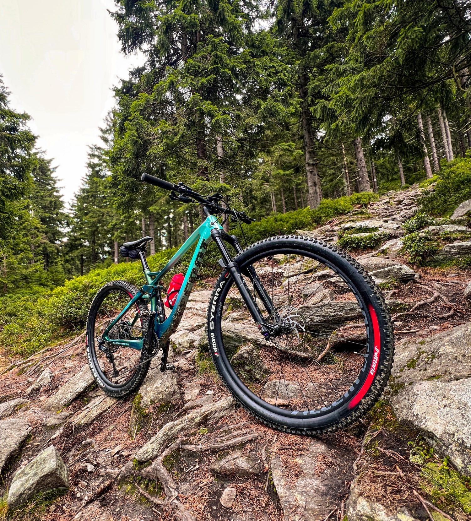 Accent-Bikes rower mtb Super Hero Carbon SLX