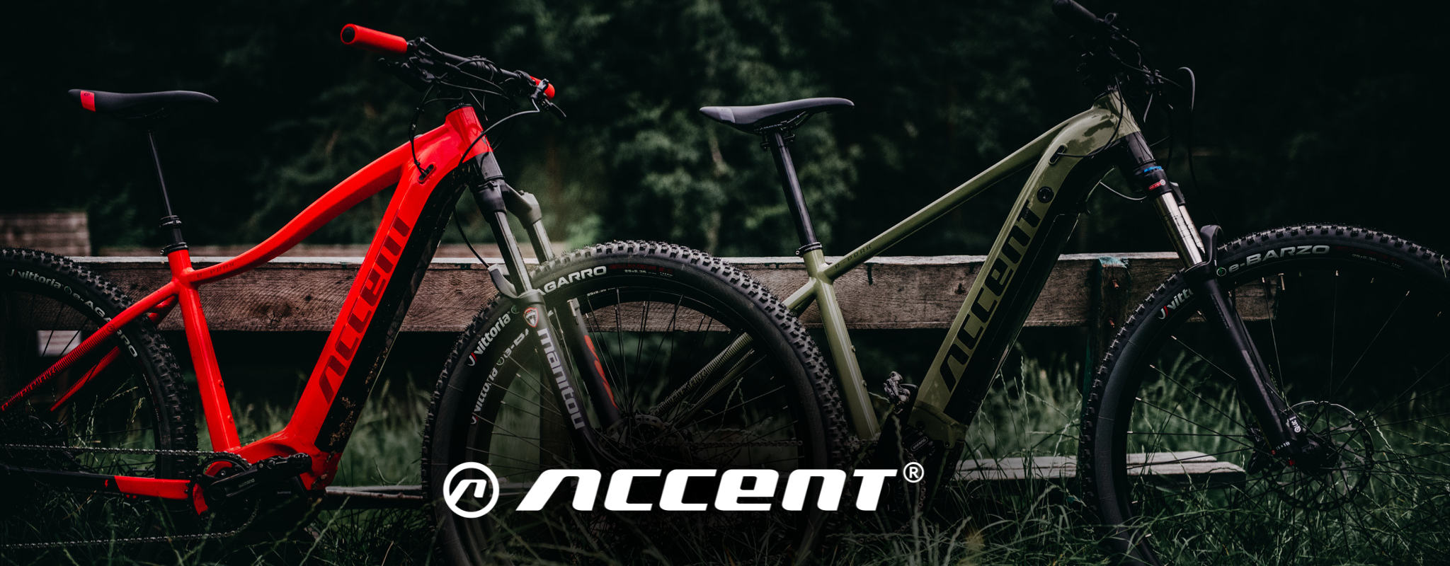 Rowery górskie elektryczne Accent Bikes - rower elektryczny do 12000 zł, rower elektryczny górski, e-MTB, Accent E-Peak, elektryczny rower MTB 29, rowery elektryczne polecane, rower elektryczny z silnikiem Shimano, rower elektryczny Bafang, najlepszy rower elektryczny
