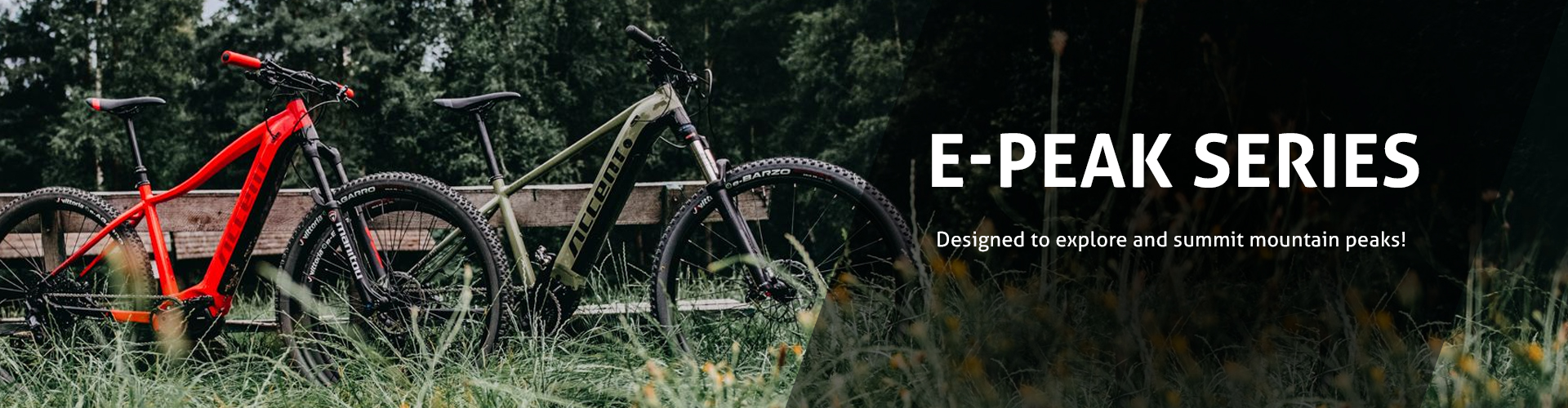 MTB e-bikes E-Peak