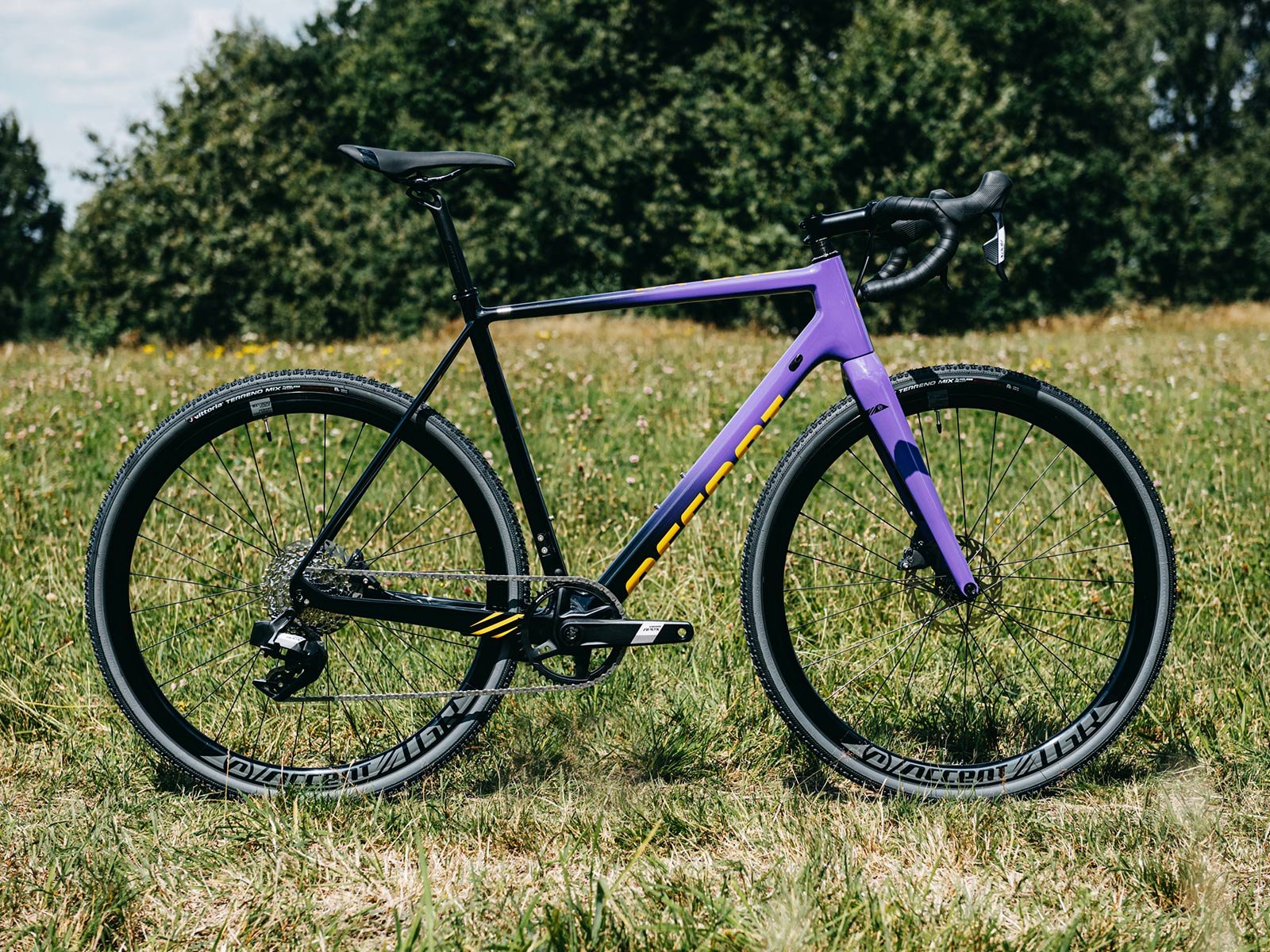 CX ONE CARBON APEX AXS Accent
