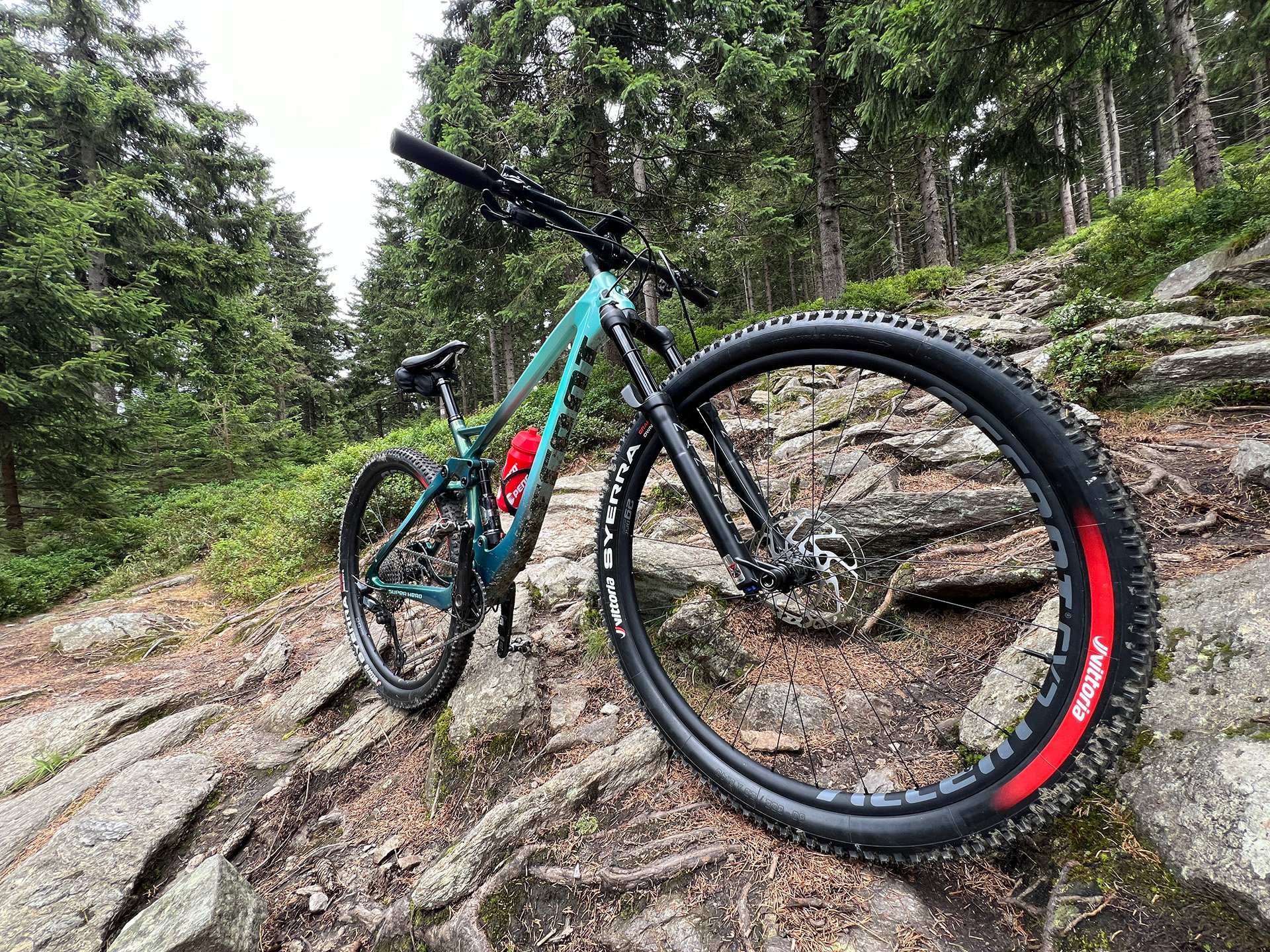 Super Hero Carbon SLX | Accent
