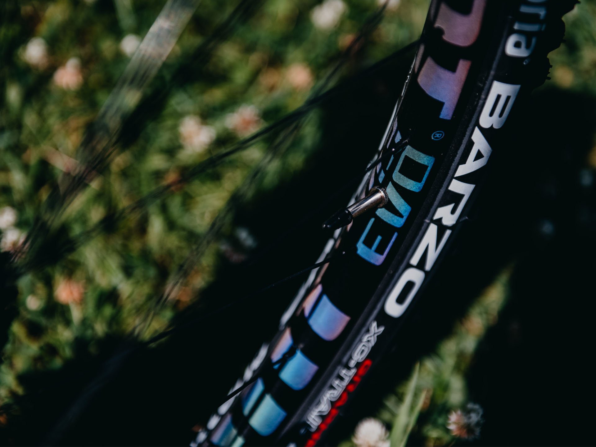 PEAK CARBON BOOST X01 EAGLE | Accent