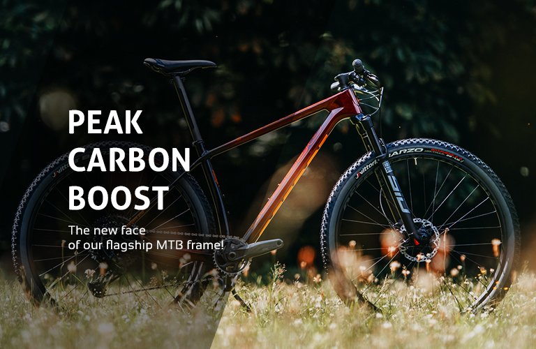 Mountain peak bike top website