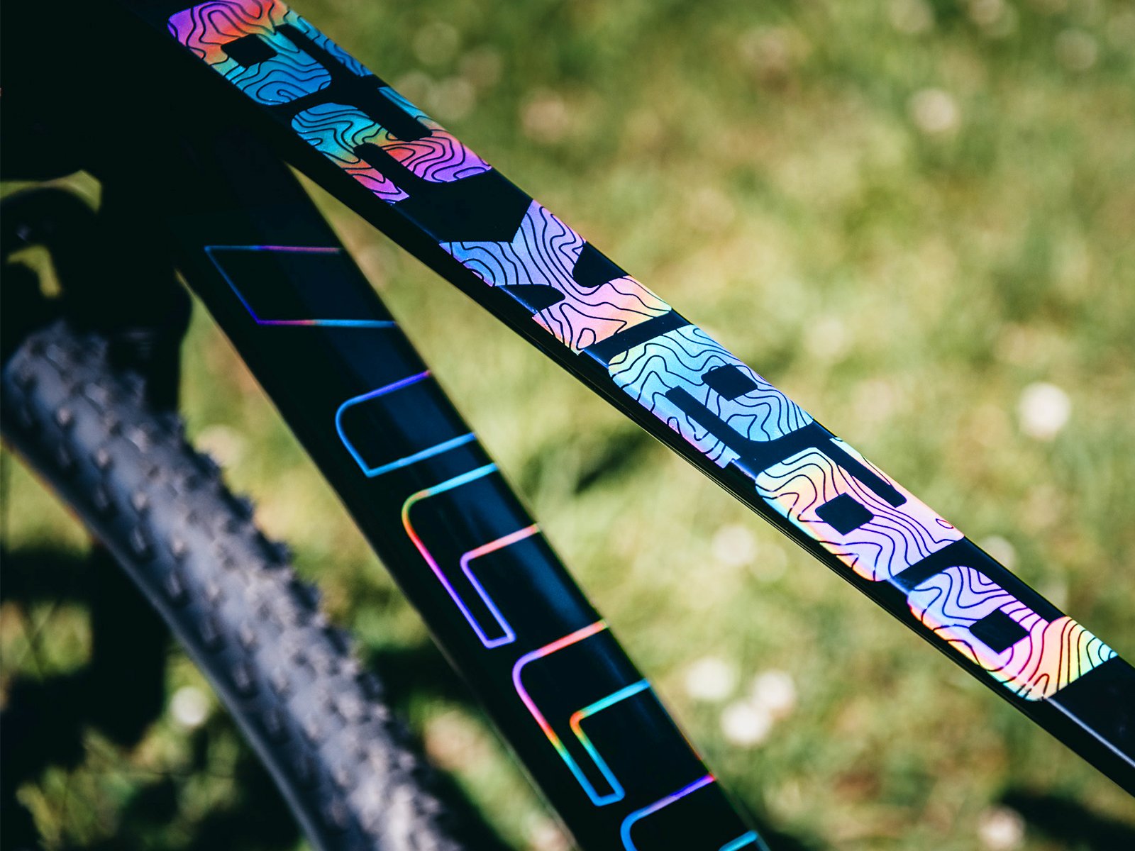Carbon clearance 29 mtb