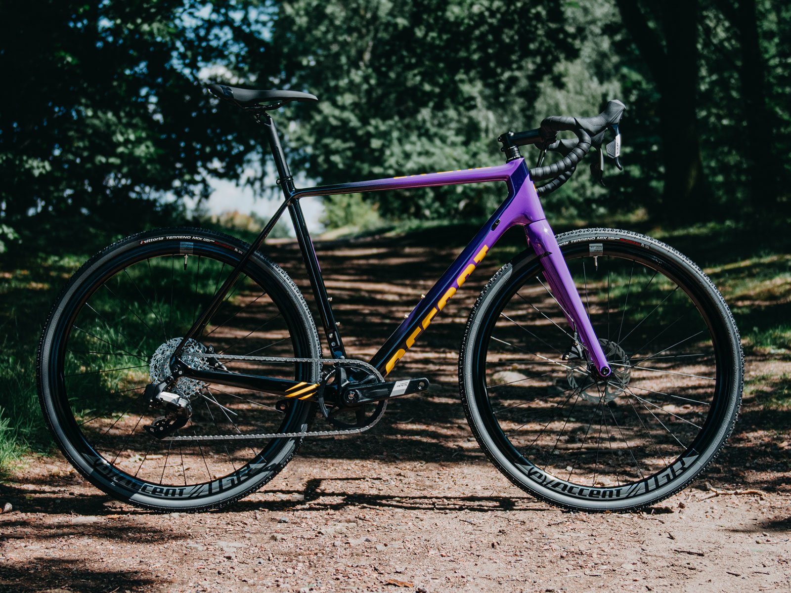 CX One Carbon Accent